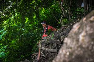 BIB: 
                            <button type="button" onclick="openModal(6991291)" class="btn btn-primary btn-sm float-right btn-popup" data-toggle="modal" data-target=".modal-high-quality">
                        <i class="fas fa-shopping-cart"></i> Add to Cart
                    </button>
                                            <button type="button" onclick="isThisMe(6991291, true)" class="btn btn-success btn-sm float-right btn-popup btn-isme hidden" data-toggle="tooltip" data-placement="bottom" title="นี่คือรูปของคุณใช่ไหม คลิกที่นี่เพื่อเอาเข้าอัลบั้ม">
                        <i class="fas fa-plus"></i> Add to album
                    </button>
                    <button type="button" onclick="isThisMe(6991291, false)" class="btn btn-warning btn-sm float-right btn-popup btn-isnotme hidden">
                        <i class="fas fa-ban"></i> Remove from album
                    </button>